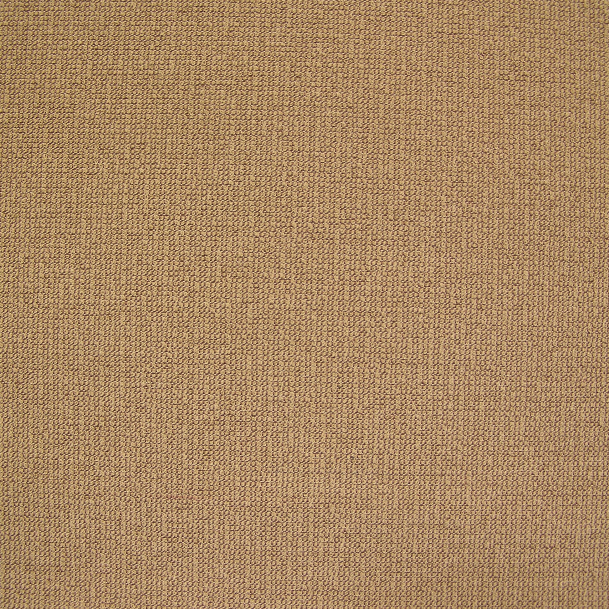 Momentum Textiles Upholstery Solace Almond Toto Fabrics Online