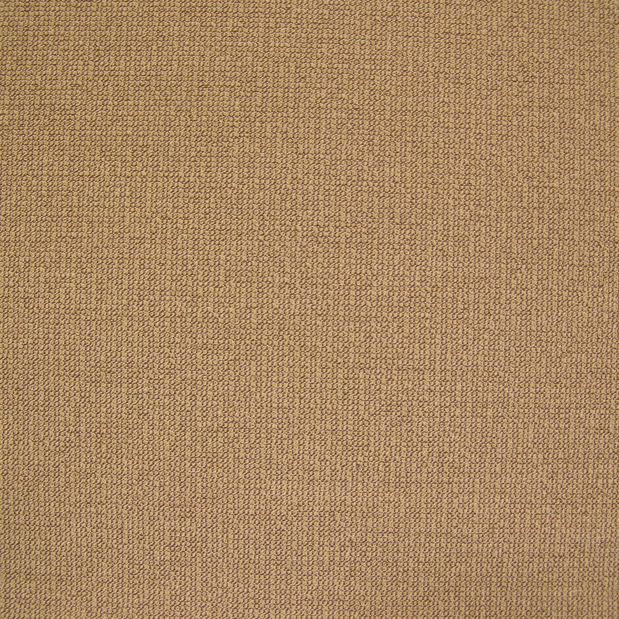 Momentum Textiles Upholstery Solace Almond Toto Fabrics Online