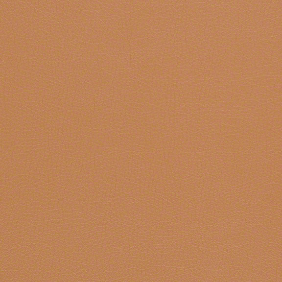 CF Stinson Upholstery Sundance Clay Toto Fabrics Online