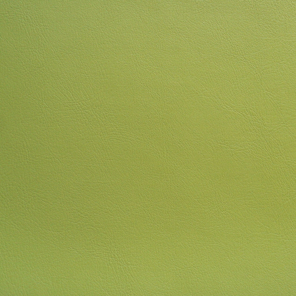 Remnant of Sustain Montana Moss Green Upholstery Fabric