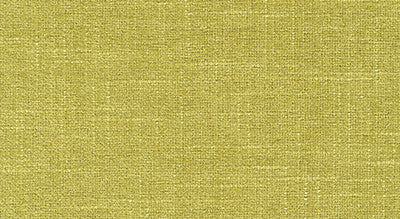 Remnant of Tapatio Saguaro Green Upholstery Fabric