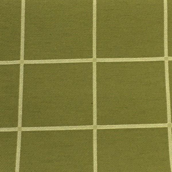 Swavelle Mill Creek Upholstery Fabric Check Pattern Theodore Apple Green Toto Fabrics