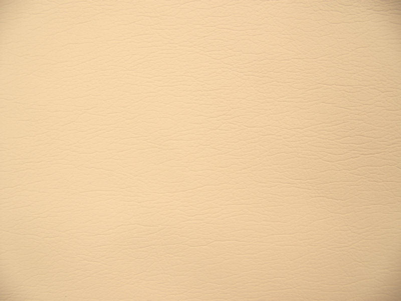 Fabric Remnant of Ultraleather Almond