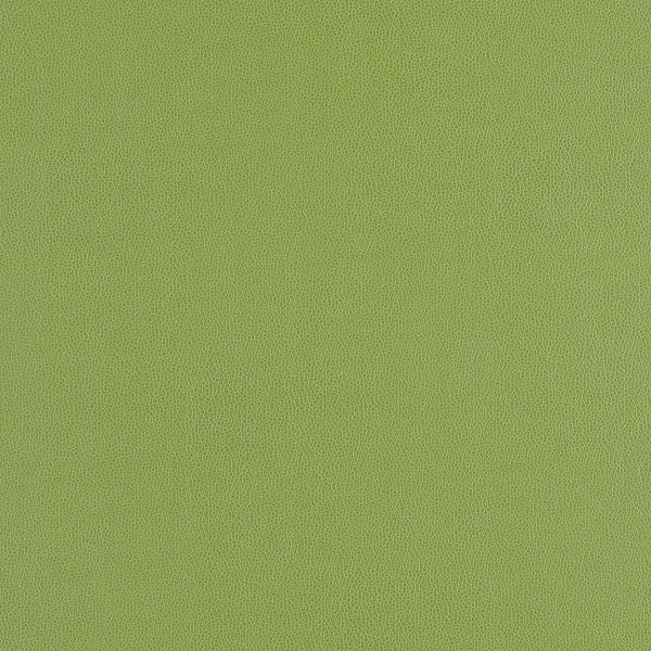 Remnant of Volterra Shamrock Green Upholstery Vinyl
