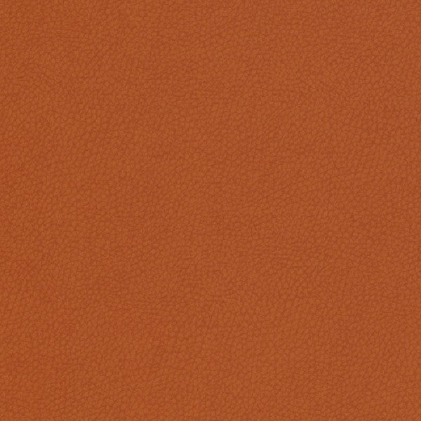 Fabric Remnant of Whip Saffron Orange Upholstery fabric